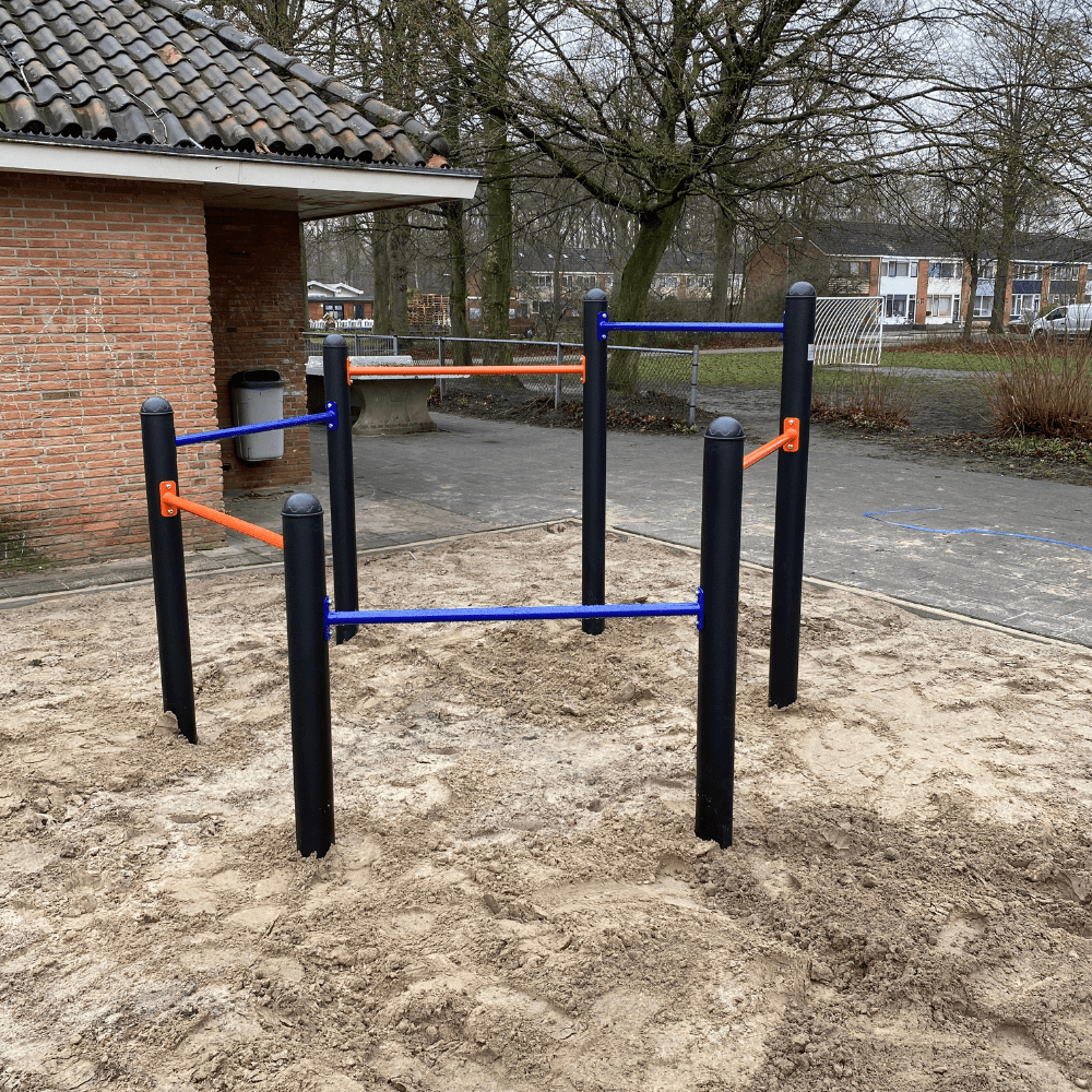 zeshoekig duikelde bij OBS De Driesprong in Marknesse