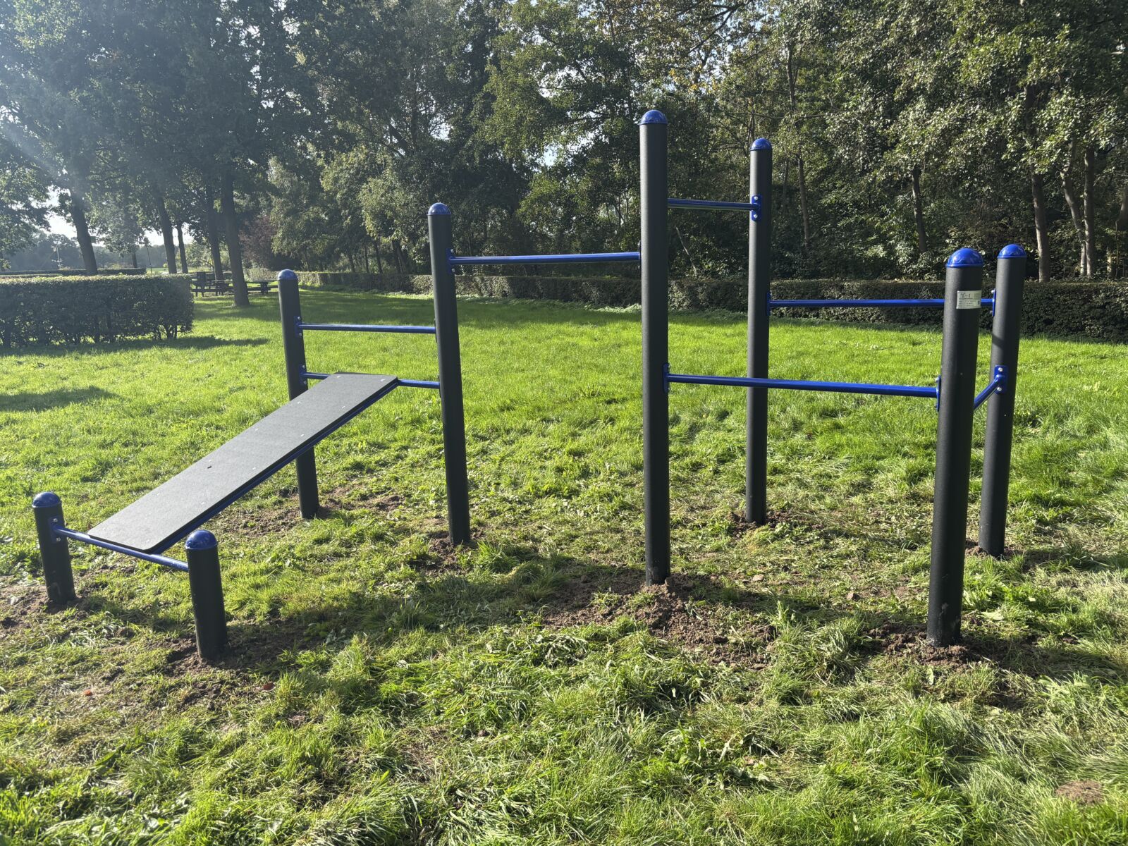 Calisthenics