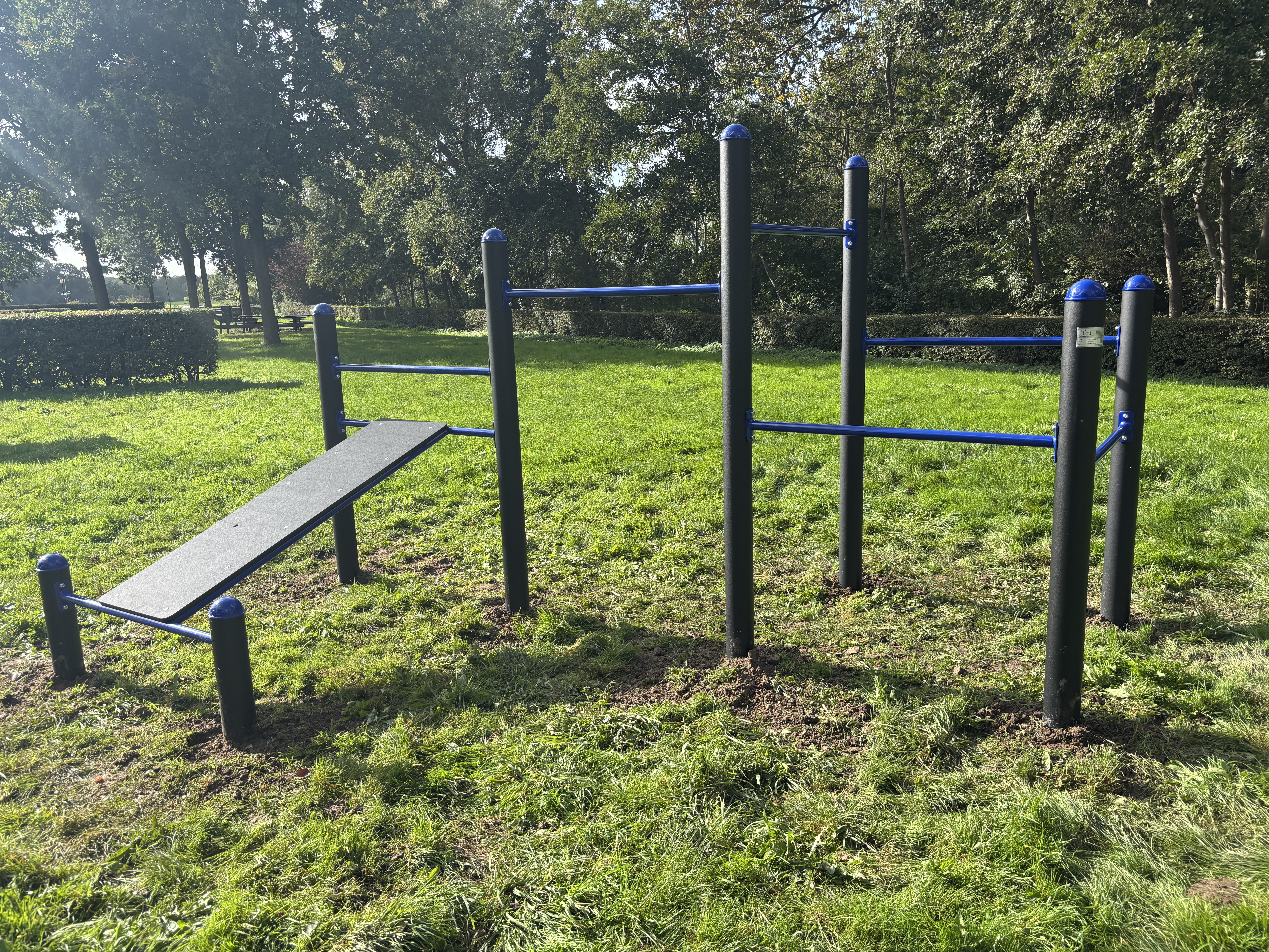 Calisthenics